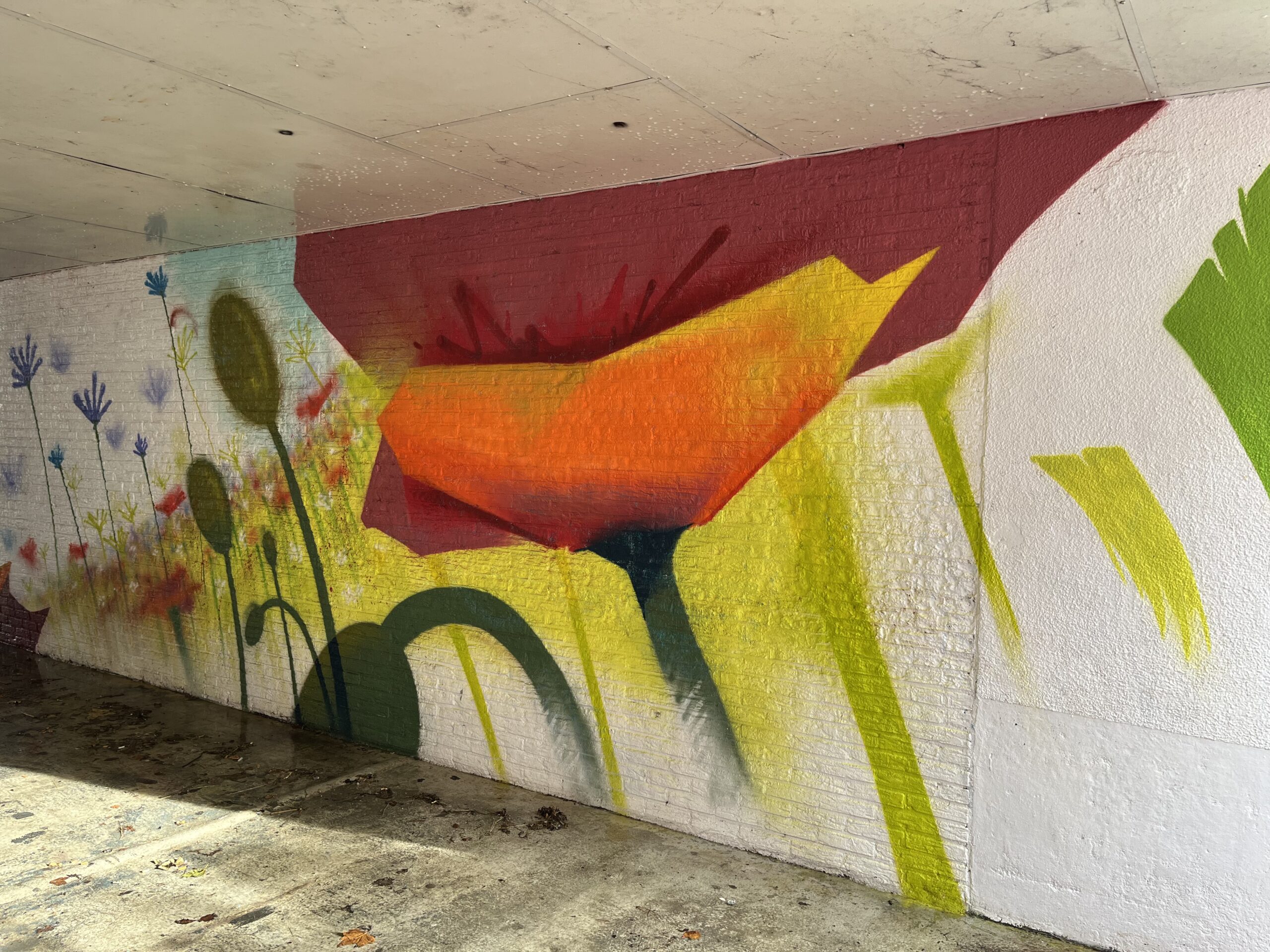 IMG_2621