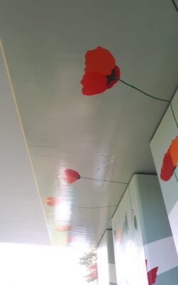 image00015